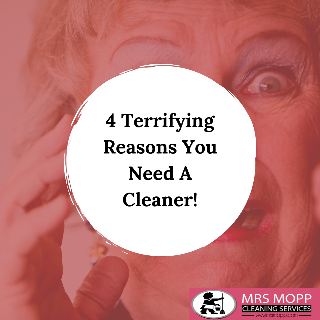 4 Terrifying Reasons Why You Need A Cleaner In Your Home!